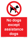 no-dogs-except-assistance-dogs~